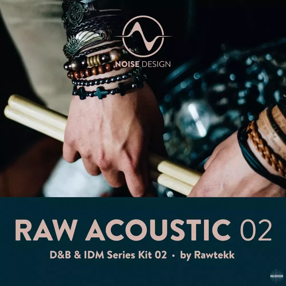 Steinberg Noise Design Raw Acoustic DnB & IDM 2 VSTSOUND