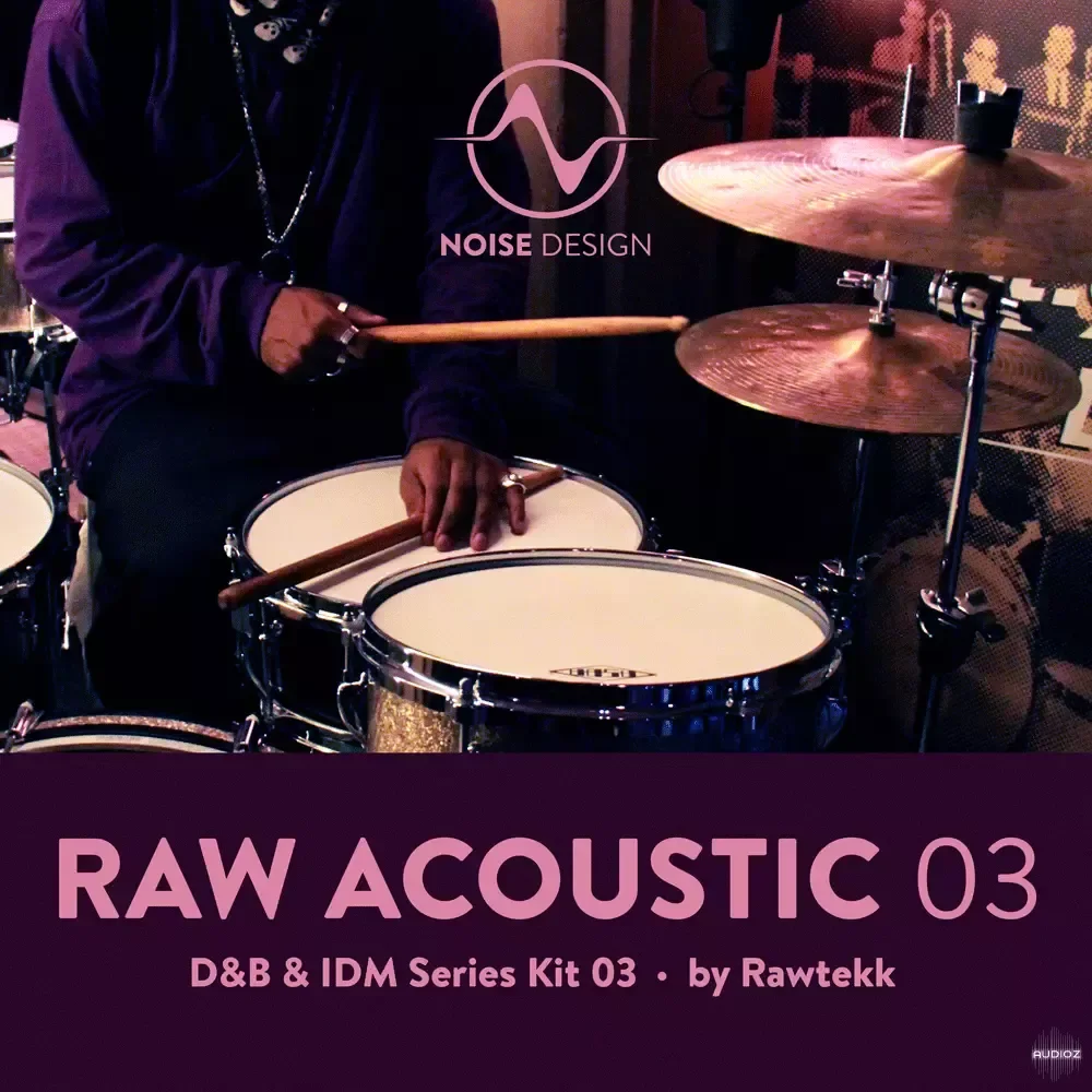 Steinberg Noise Design Raw Acoustic DnB & IDM 3 VSTSOUND