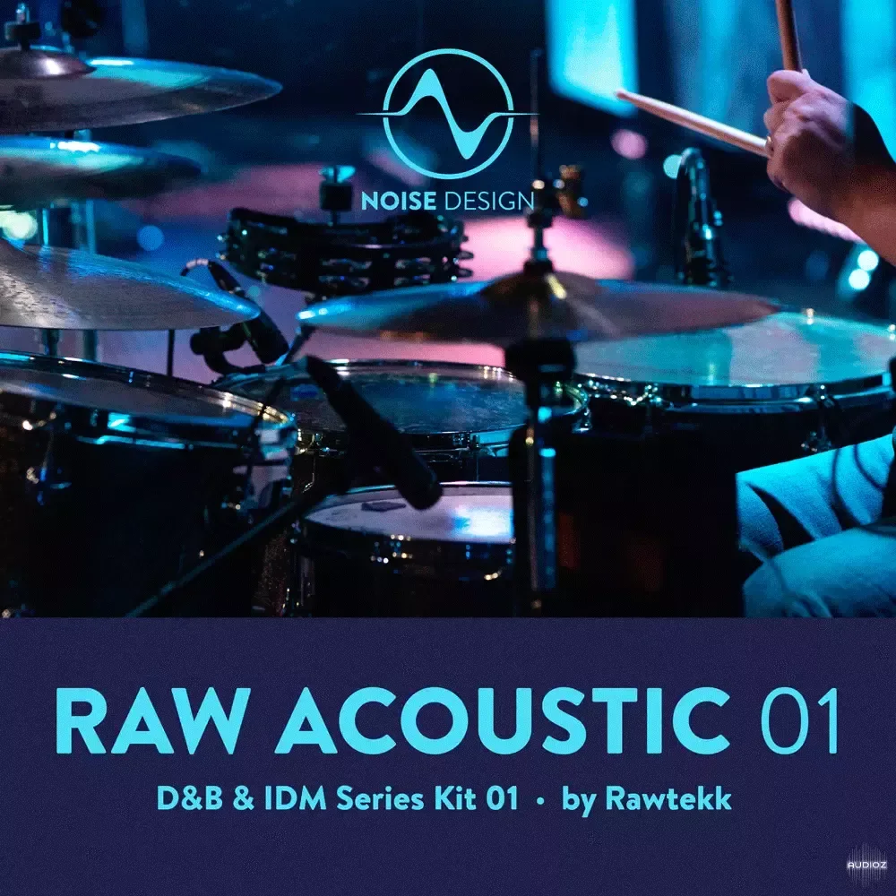 Steinberg Noise Design Raw Acoustic DnB & IDM 1 VSTSOUND