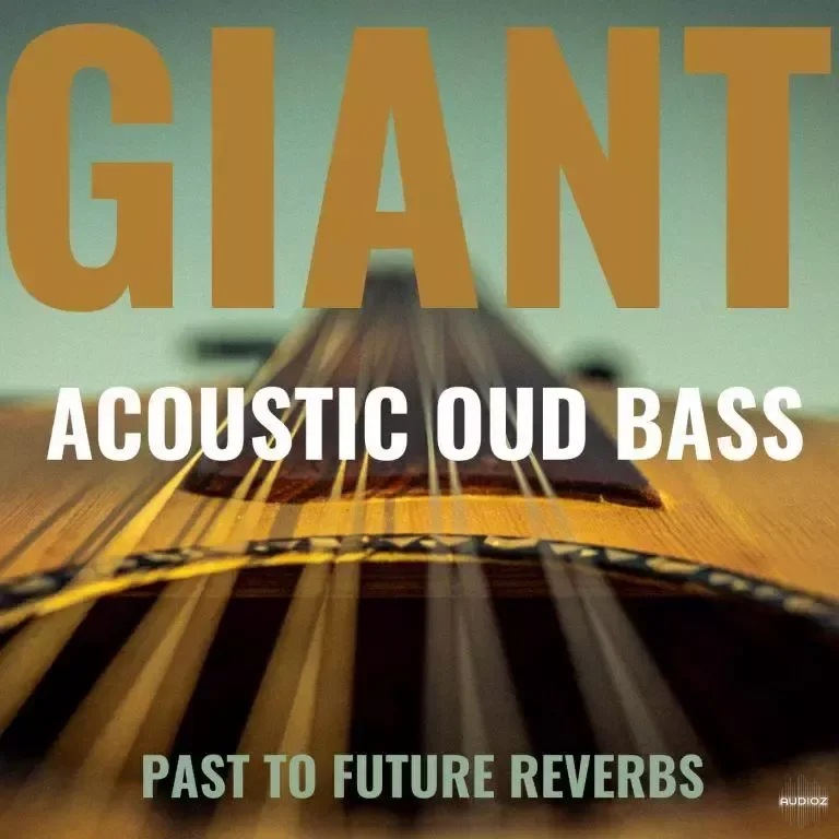 PastToFutureReverbs Giant Acoustic Round-Back Fretless Bass KONTAKT WAV