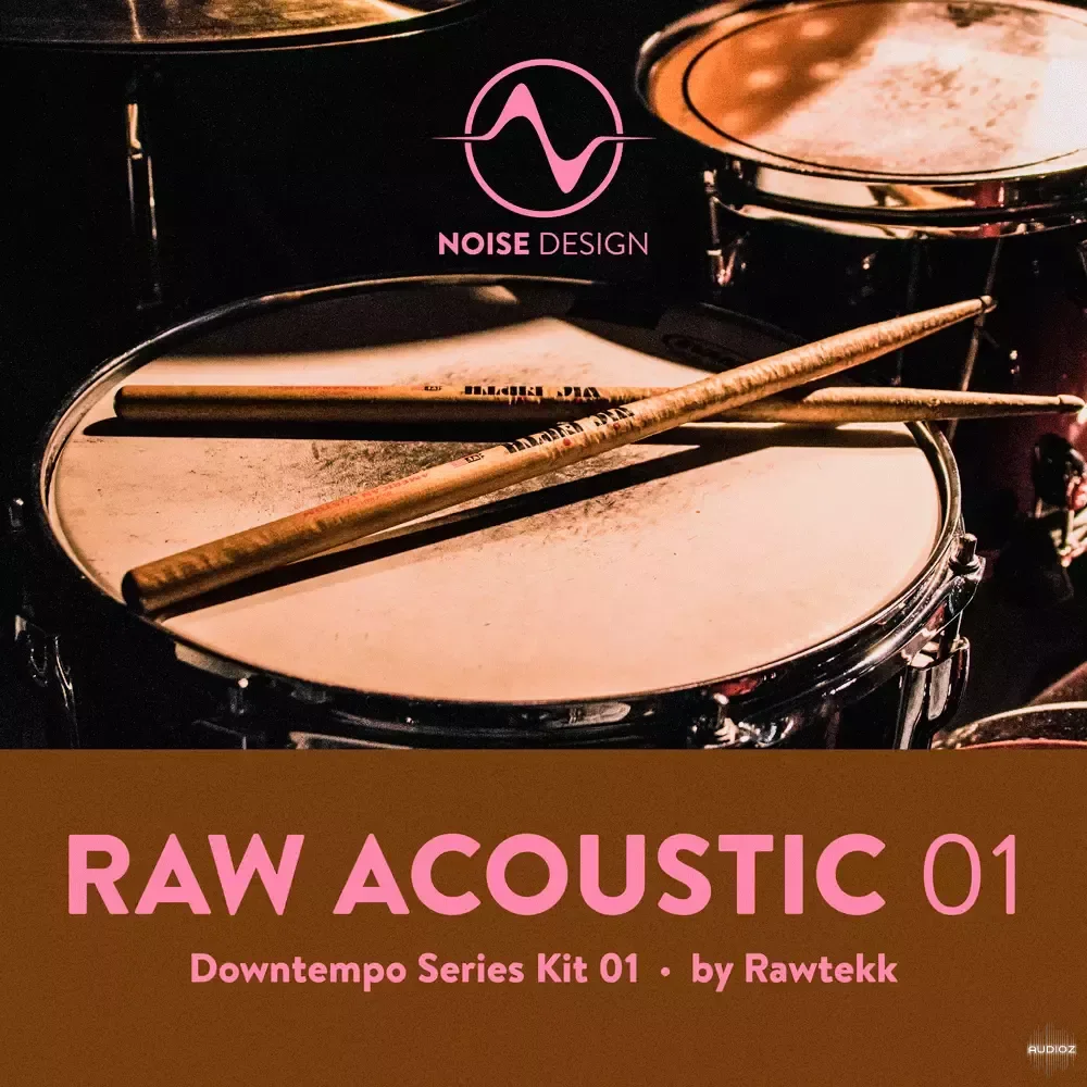 Steinberg Noise Design Raw Acoustic Downtempo 1 VSTSOUND