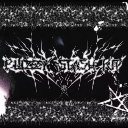 BLIZZY.MP3 BLIZZY STASH KIT WAV-FANTASTiC
