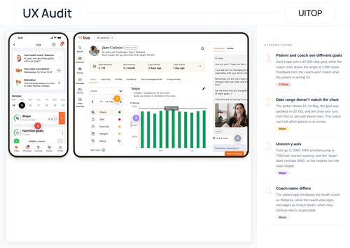 audit liva.2