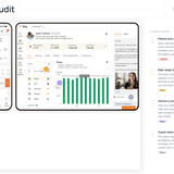 audit liva