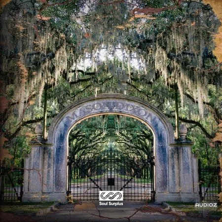 Soul Surplus Mason Dixon WAV-FLARE