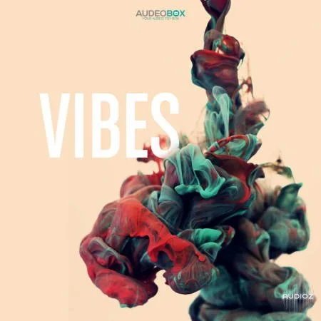 AudeoBox Vibes WAV-FLARE