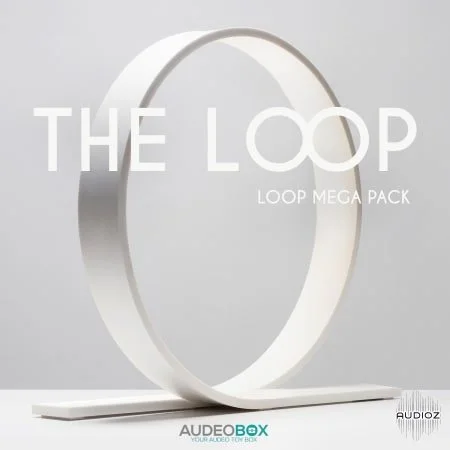 AudeoBox The Loop WAV-FLARE