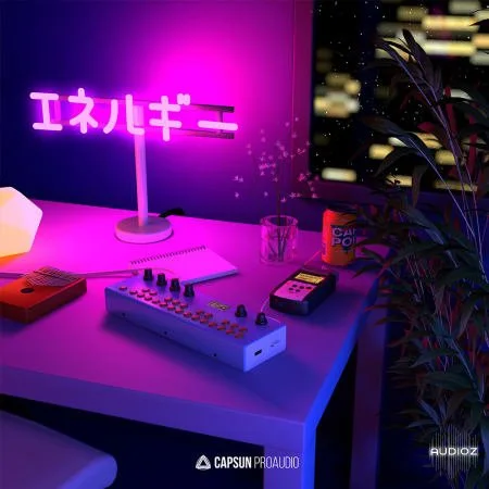 Capsun ProAudio Bedroom Beats And Lofi Hip Hop Vol. 2 WAV-FLARE