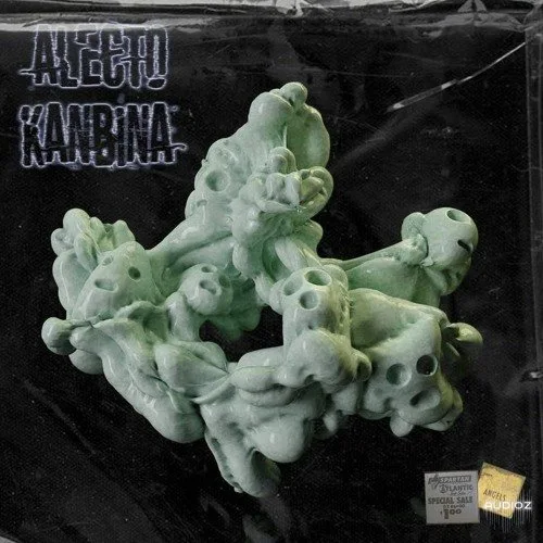ALECTO & Nadir Kanbina (One Shot Kit) WAV