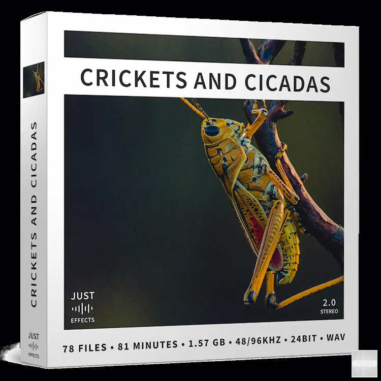 Just Sound Effects Crickets and Cicadas WAV