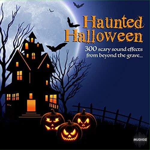 Blastwave FX Haunted Halloween 300 Scary Sound Effects from Beyondthe Grave FLAC