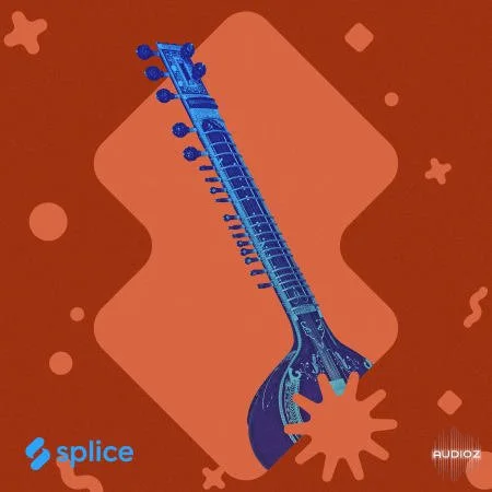Splice Originals Indian Roots Vol 2 WAV