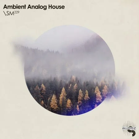 Sample Magic Ambient Analog House WAV MIDI