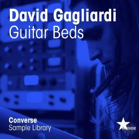 Converse Sample Library David Gagliardi Guitar Beds WAV-FLARE
