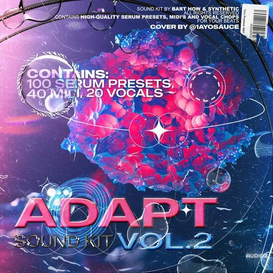 Synthetic and Bart How Adapt Sound Kit Vol 2 MULTiFORMAT-DECiBEL