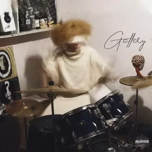 Ardist & mTwenty Gallery Drumkit WAV-TECHNiA