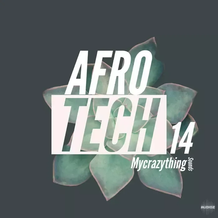 Mycrazything Sounds Afro Tech 14 WAV-DECiBEL