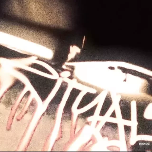 HITGIRL "RITUAL" Serum Bank WAV MiDi XFER RECORDS SERUM-FANTASTiC