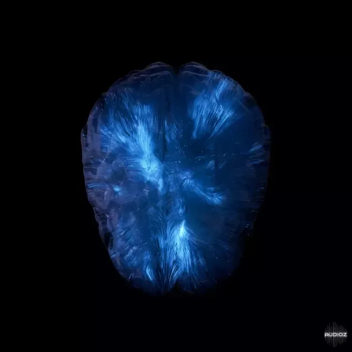 NAT08 Neural Network (Multi Kit) MULTiFORMAT-FANTASTiC