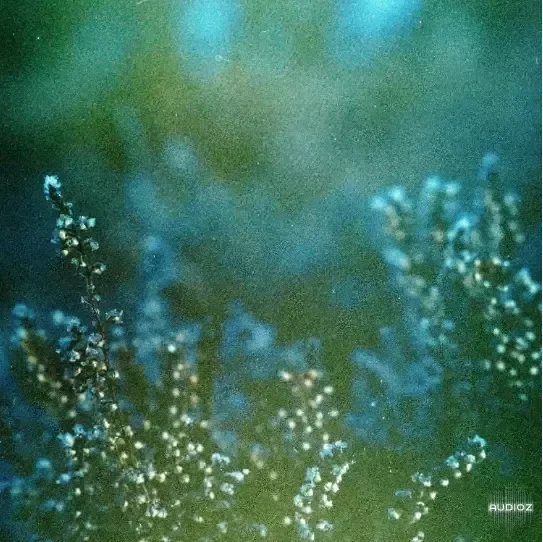 shameless. Distorted Ambience Sample Pack Vol.4 WAV VITAL