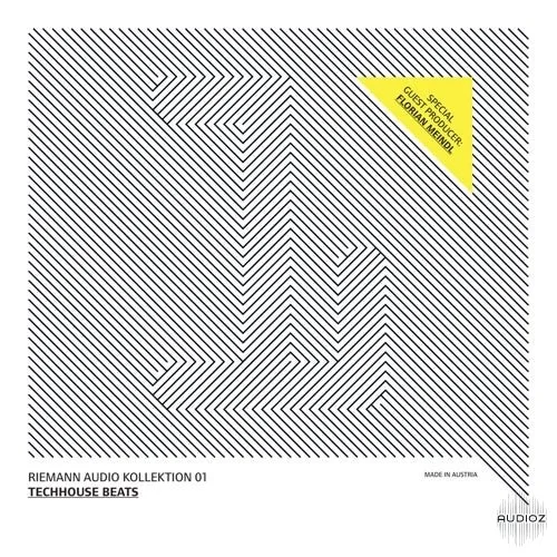 Riemann Audio Kollektion 01: Techhouse Beats ft. Florian Meindl WAV