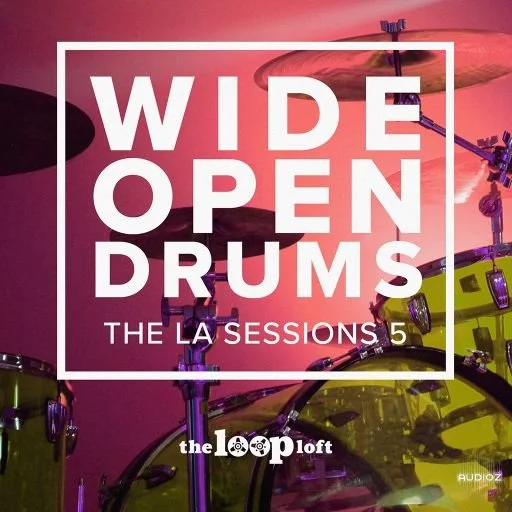 The Loop Loft Wide Open Drums Brush Boom WAV-UHUB