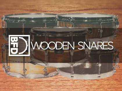 inMusic Brands BFD Wooden Snares (BFD3)