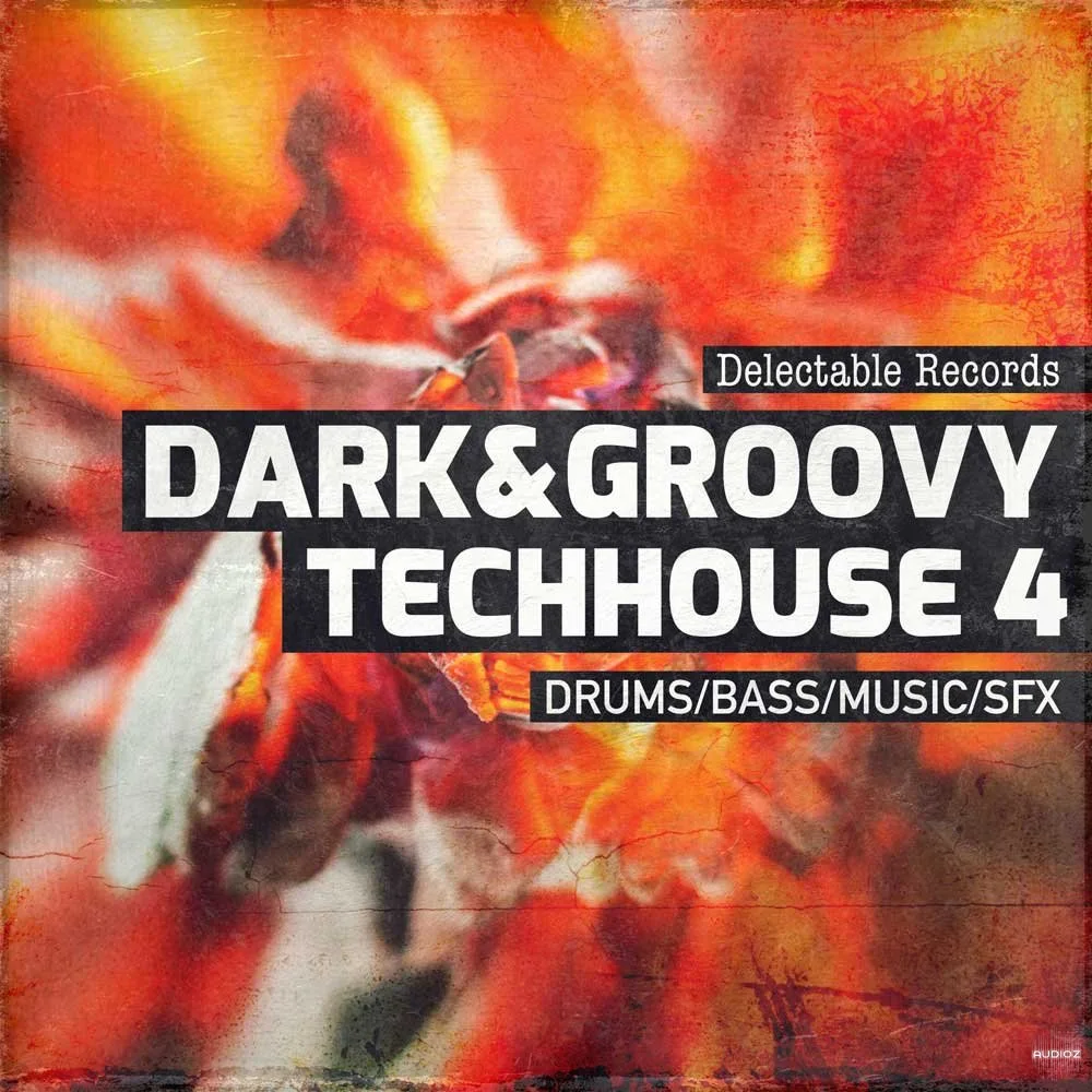 Delectable Records Dark And Groovy TechHouse 04 WAV-FANTASTiC