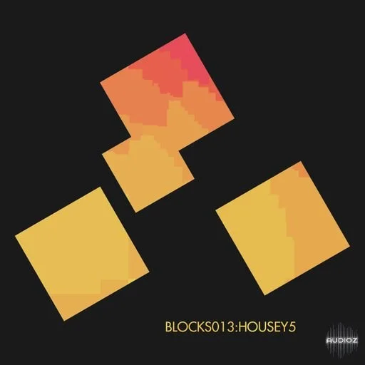 Xelon Digital Blocks 013 Housey 5 WAV