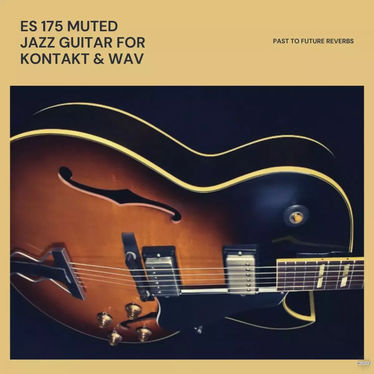 PastToFutureReverbs ES-175 Muted Jazz Guitar for KONTAKT WAV