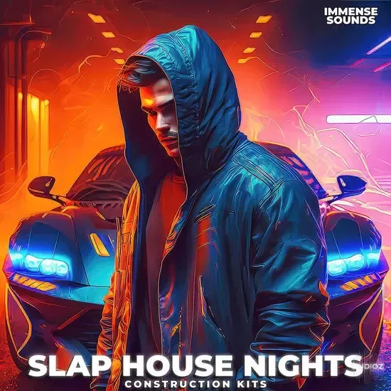 Immense Sounds Slap House Nights WAV MIDI Serum-DECiBEL