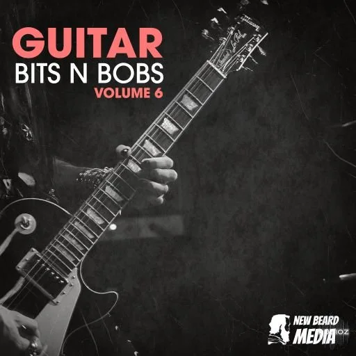 New Beard Media Guitar Bits N Bobs Vol 6 WAV