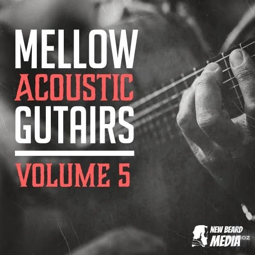 New Beard Media Mellow Acoustic Guitars Vol 5 WAV