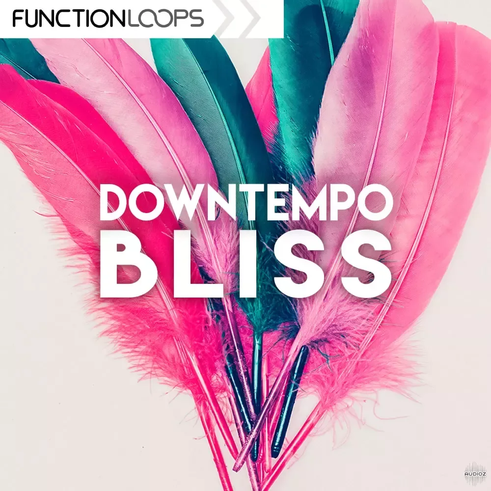 Function Loops Downtempo Bliss WAV-FANTASTiC