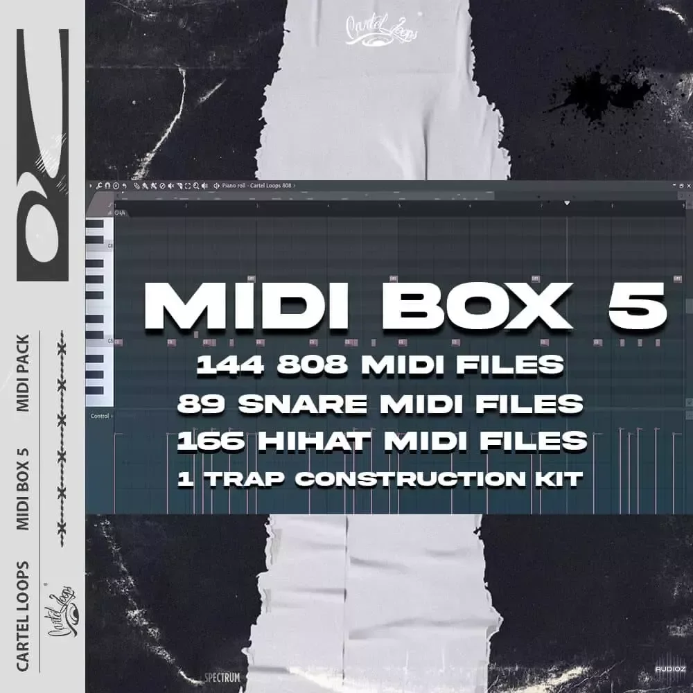 Cartel Loops MIDI Box Vol.5 MIDI WAV