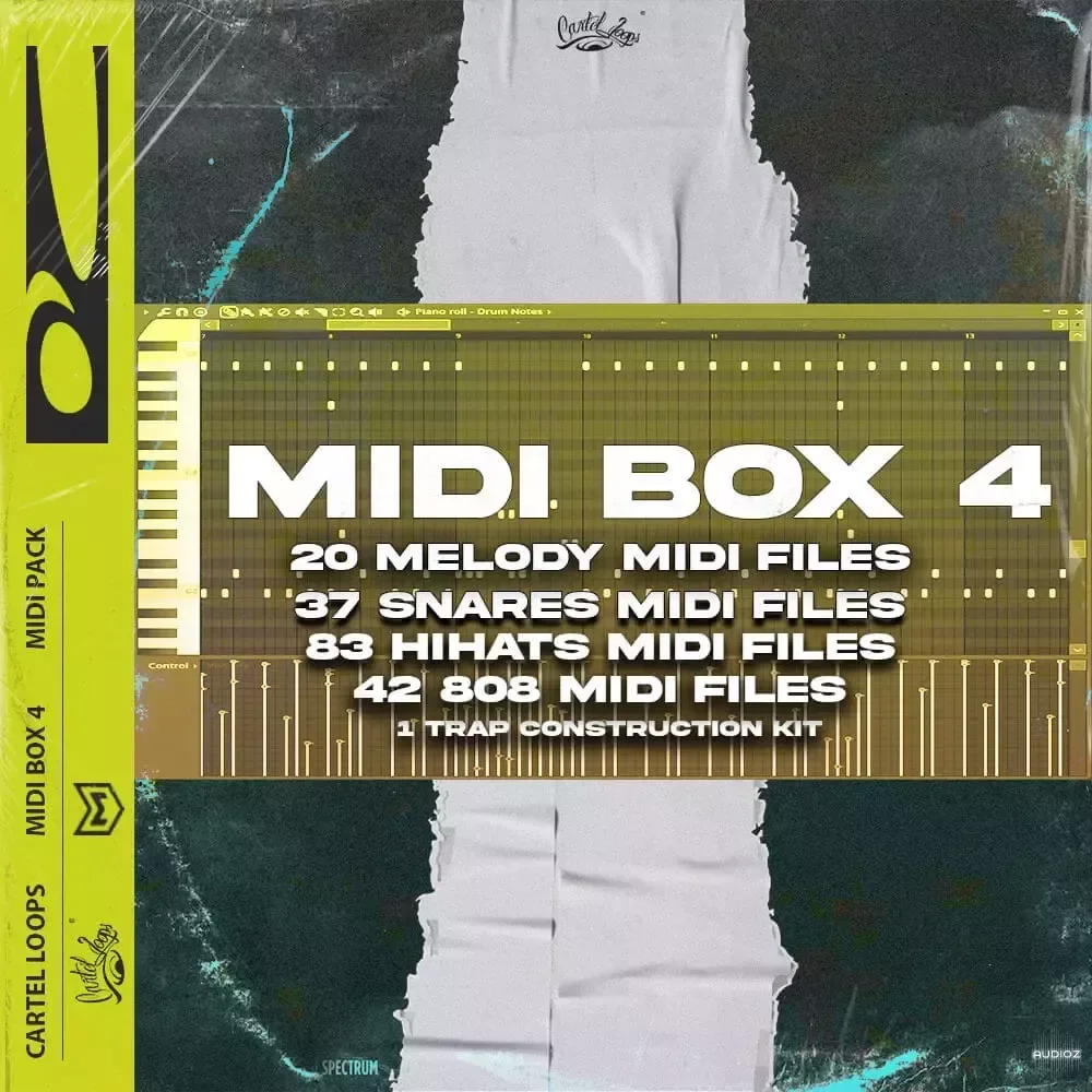 Cartel Loops MIDI Box Vol.4 MIDI WAV