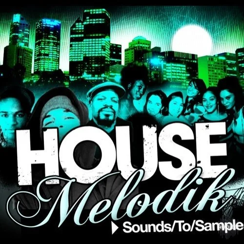 Sounds To Sample House Melodik WAV-DYNAMiCS