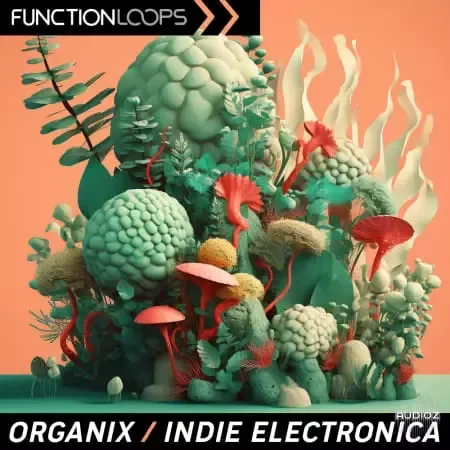 Function Loops Organix - Indie Electronica WAV