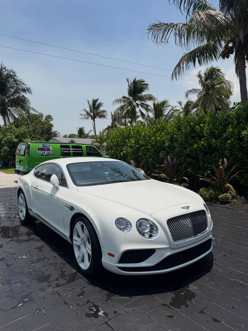 Auto Detailing Work 2