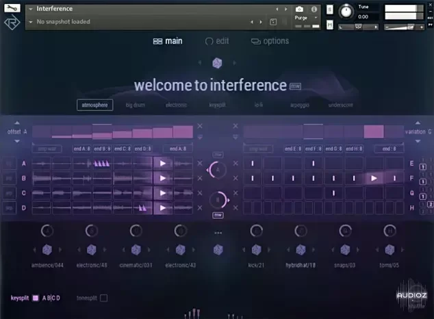 Rigid Audio Interference KONTAKT-ohsie