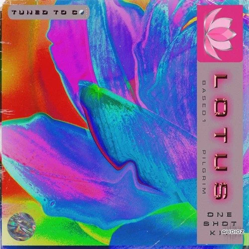 Based1 and Pilgrim Lotus Vol. 3 (One Shot Kit) WAV