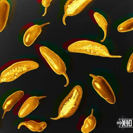 X10 Pepper Dancehall Vocals WAV
