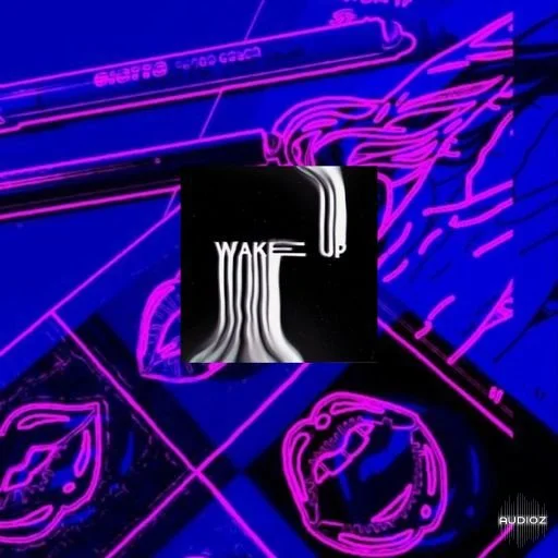 Lazerdisk Wake Up WAV