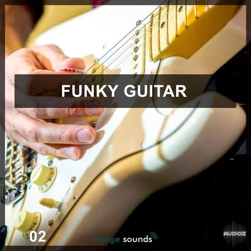 Steinberg Funky Guitar 2 VSTSOUND