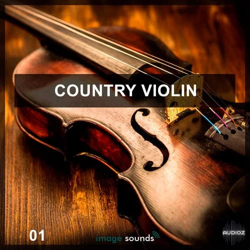 Steinberg Country Violin VSTSOUND