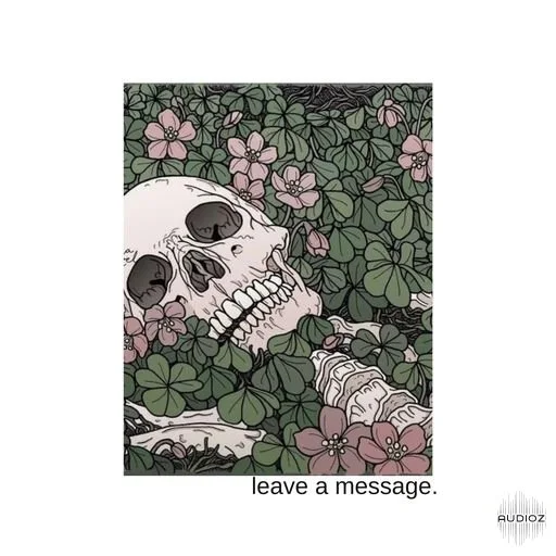 Lazerdisk Leave A Message WAV