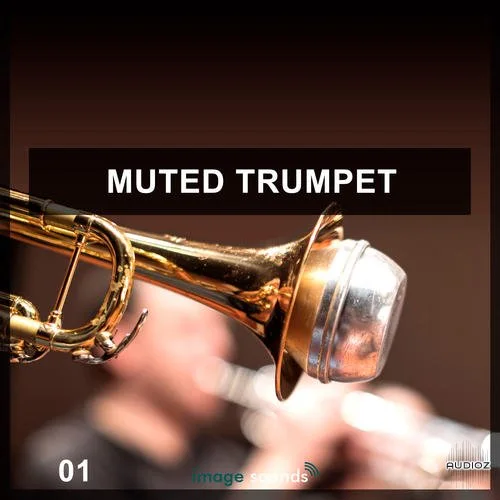 Steinberg Muted Trumpet 1 VSTSOUND