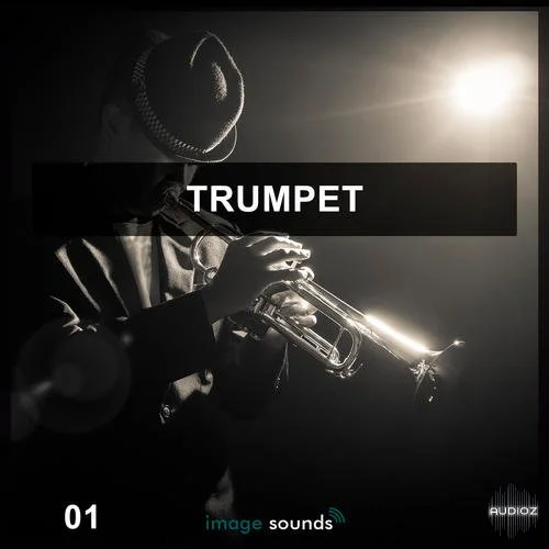 Steinberg Trumpet 1 VSTSOUND