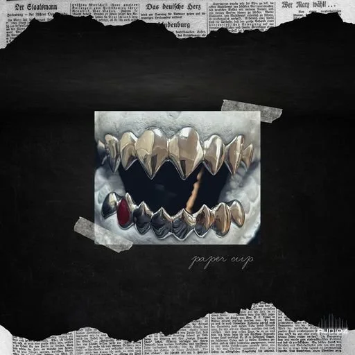 Lazerdisk Paper Cup WAV
