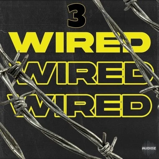 Ztar Audio WIRED 3 WAV